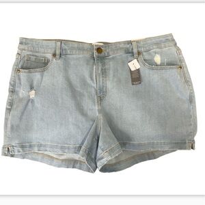 Lane Bryant Mid Rise Midi Short